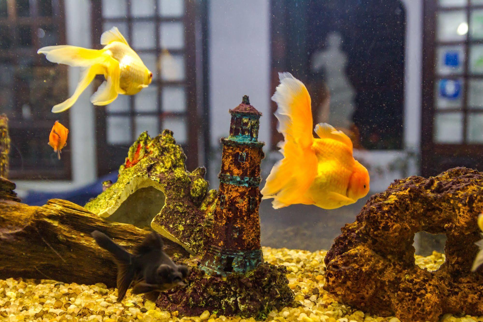 Pousada Torre Del Mar Ubatuba Zewnętrze zdjęcie